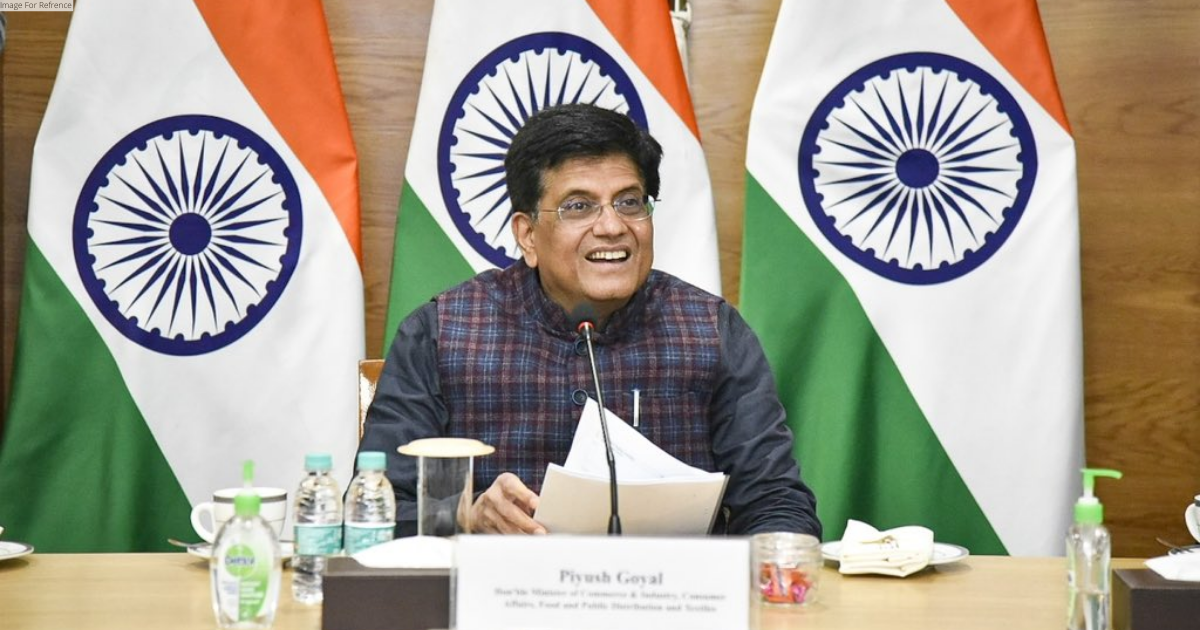 India has potential to become world leader in footwear, leather: Piyush Goyal